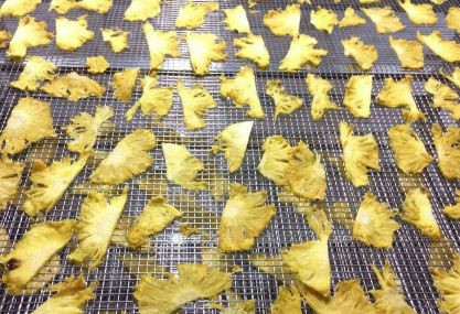 菠蘿烘干