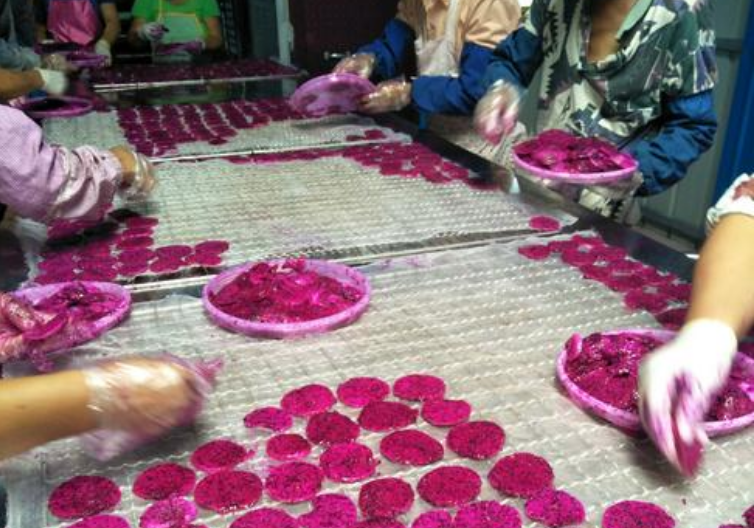 火龍果烘干機(jī)